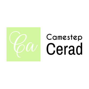 logo preview