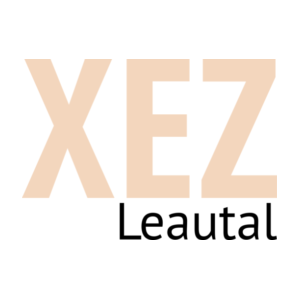 logo preview