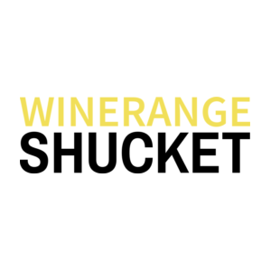 logo preview