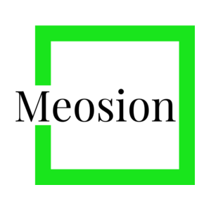 logo preview